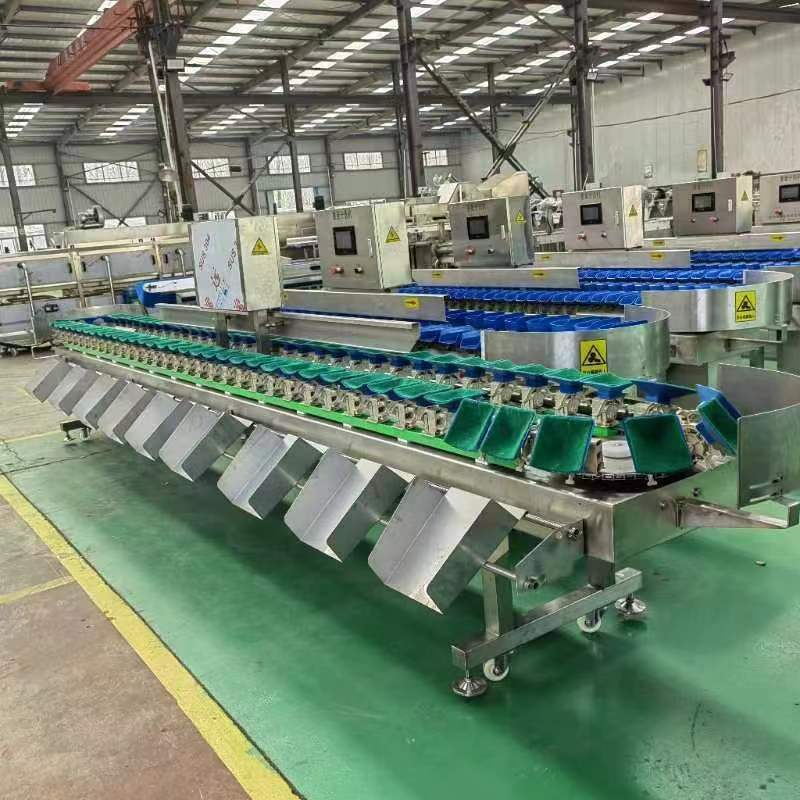 CQ-BD-10 Boxes Type Weight Sorting Machine