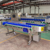 CQ-BD-10 Boxes Type Weight Sorting Machine