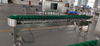 CQ-BD-10 Boxes Type Weight Sorting Machine