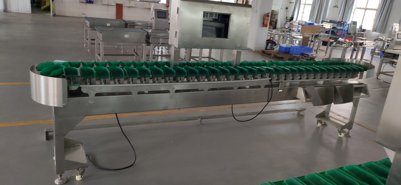 CQ-BD-10 Boxes Type Weight Sorting Machine