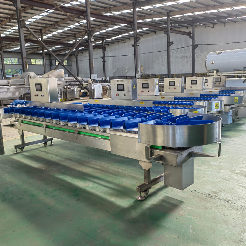 CQ-BD-10 Boxes Type Weight Sorting Machine