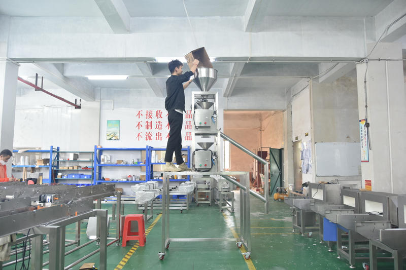 Plastic Flake Gravity Free Fall Metal Detector for Rice Powder Flour