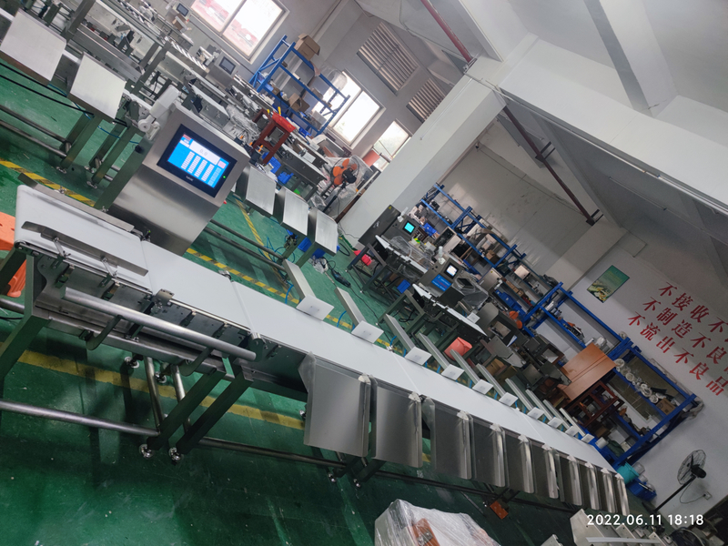 Weight Sorting Machine Check Weigher Sorter High Speed Weight Sorting Machine