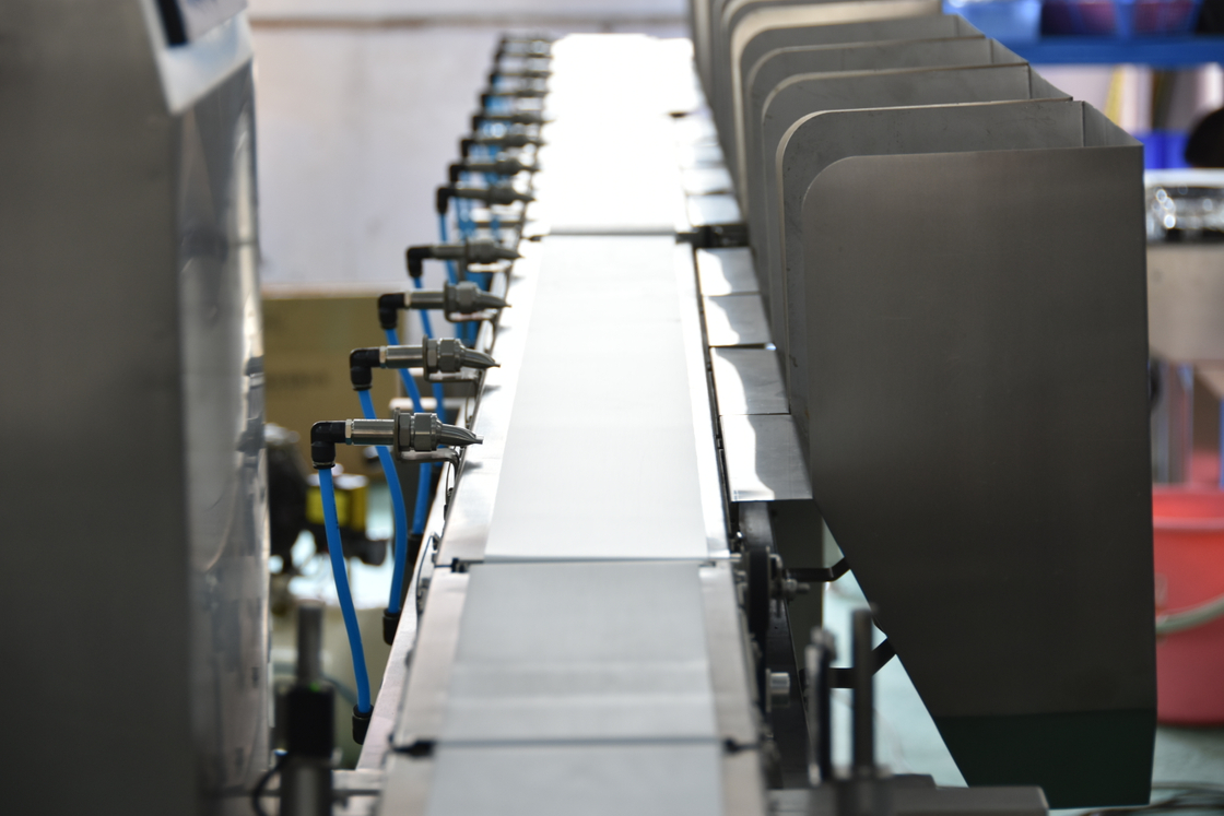 Automatic Weight Scale Weight Sorting Machine with conveyor belt For coffee bean/cocoa bean/Fruit/meat