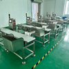 3kg High Precision Checkweigher with Customizable Rejection 0.5g High Precision Checkweigher