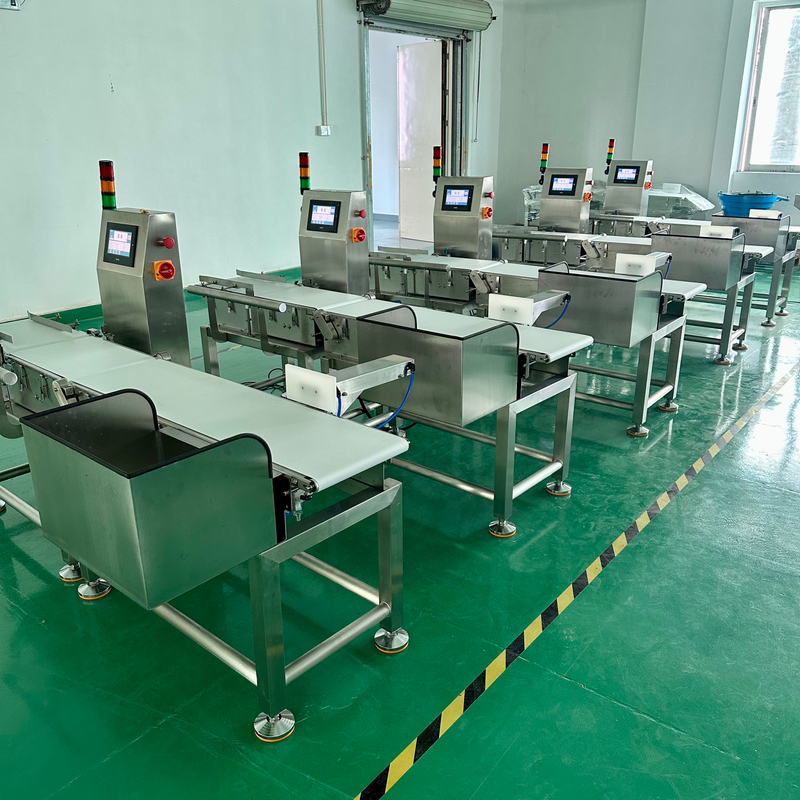 3kg High Precision Checkweigher with Customizable Rejection 0.5g High Precision Checkweigher