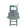 X-Ray Food Inspection Machine for Palletized and Bulk Products Heavy-Duty for Large Boxes and Bags